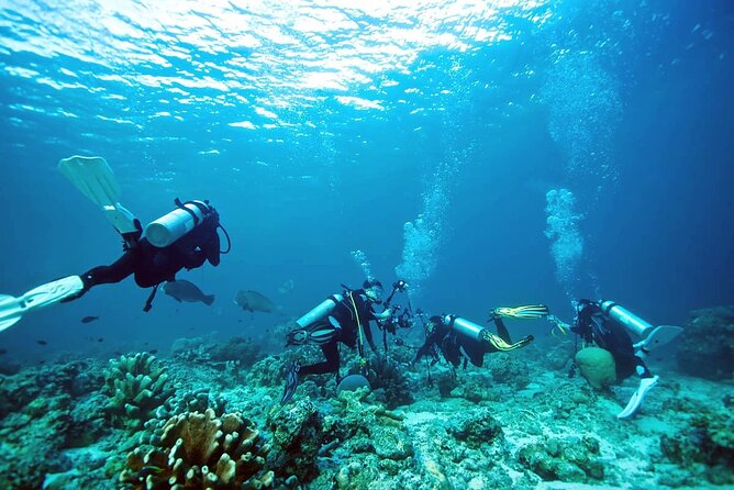 Private Diving Experience in Nusa Dua with Hotel Pick Up - Tanjung Benoa is where the practical work begins