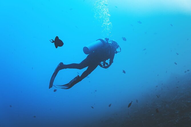 Private Diving Experience in Nusa Dua with Hotel Pick Up - Who will enjoy this most