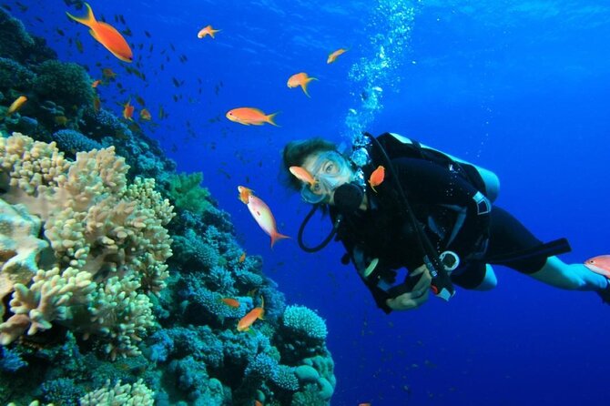 Private Diving Experience in Nusa Dua with Hotel Pick Up - What happens at the Nusa Dua stop