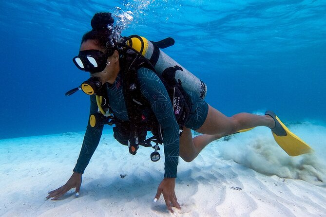 Private First-Time Dive on Aruba’s Reef and Wreck Site - Shallow Water Practice Before the Main Underwater Visit