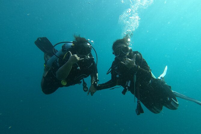 Private Half-Day Scuba Diving with expert (1Dive) - Key points at a glance