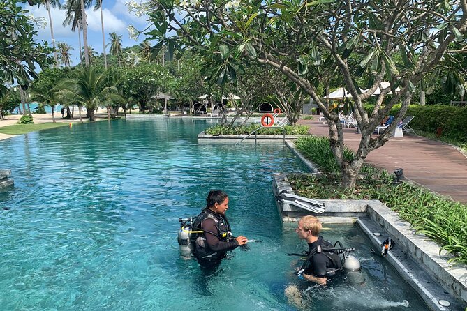 Private Half-Day Scuba Diving with expert (1Dive) - The private format and the value of personal instruction