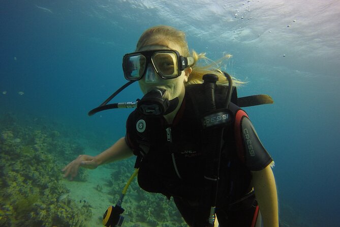 Private Intro Scuba Dive – Aqaba Coral Reefs - Why Aqaba is a good place for a first scuba experience