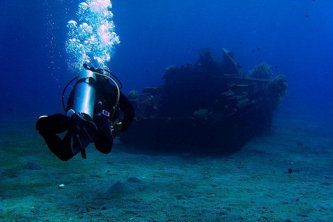 Private Intro Scuba Dive – Aqaba Coral Reefs - Shallow-water practice before the reef