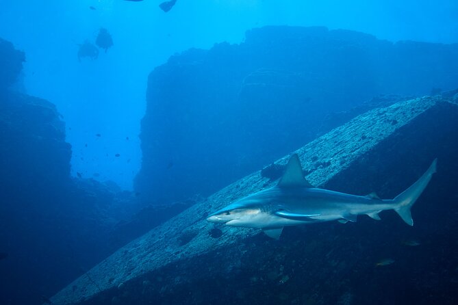 Private Niihau Scuba Charter with 2 or 3 Tank Dive Option - What the small private boat changes