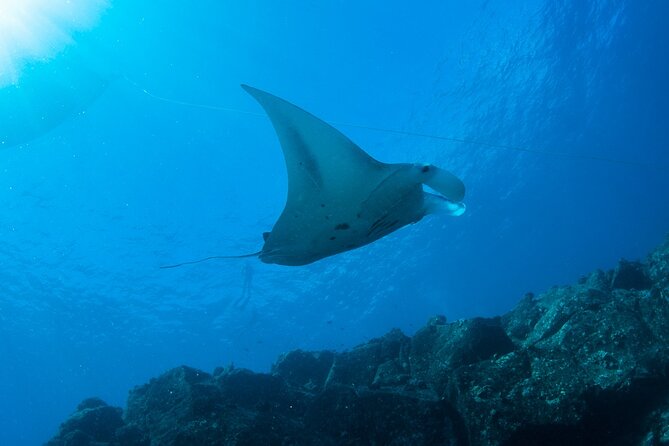 Private Niihau Scuba Charter with 2 or 3 Tank Dive Option - The one-hour crossing to Niihau