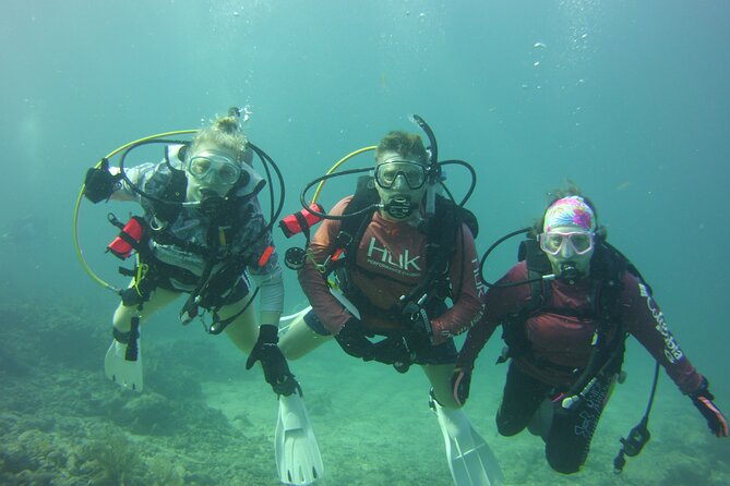 Private SCUBA Dive the reefs of Key Largo for up to 8 certified divers - Who will get the most from this charter