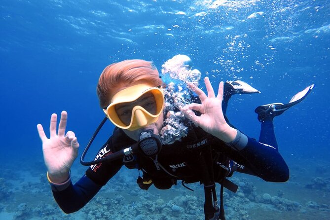 Private Scuba Diving Adventure in the Red Sea of Aqaba - Aqaba’s shore puts the Red Sea within easy reach