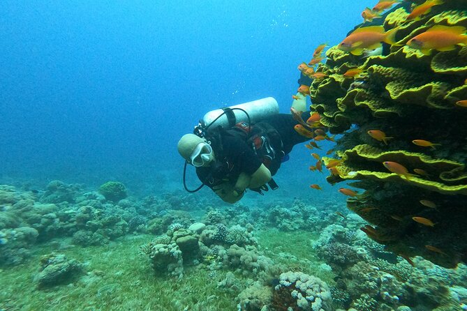 Private Scuba Diving Adventure in the Red Sea of Aqaba - Equipment and underwater photos add real value