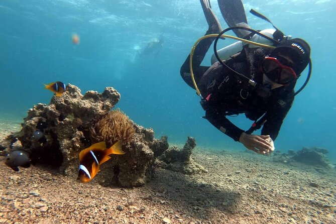 Private Scuba Diving Adventure in the Red Sea of Aqaba - Booking details that matter