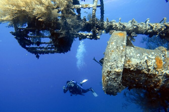 Private Scuba Diving Adventure in the Red Sea of Aqaba - What happens during the two-hour session