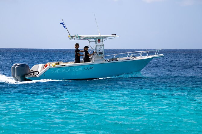 Private Scuba Diving Charter in Bonaire Marine Park - Key points to know