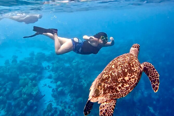 Private Scuba Diving Charter in Bonaire Marine Park - Gear service that keeps the day moving