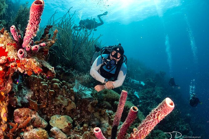Private Scuba Diving Charter in Bonaire Marine Park - Who should book this charter