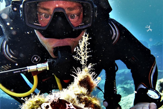 Private Scuba Diving Experience in Mandraki - Why Mandraki makes this beginner experience different