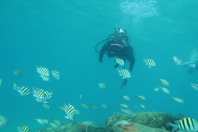 Private Scuba Diving Expert-Led Excursion Training with Tour - What the four hours are really buying