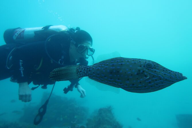 Private Scuba Diving Expert-Led Excursion Training with Tour - Photos, fish, and the parts you take home
