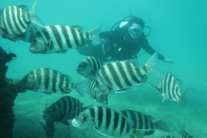 Private Scuba Diving Expert-Led Excursion Training with Tour - Learning the basics before entering the water