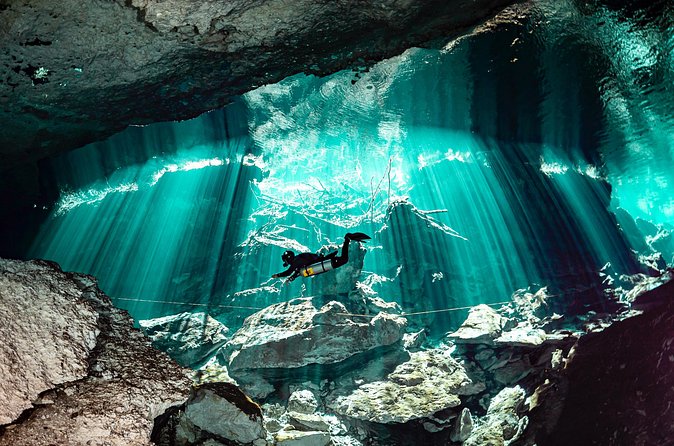 Private Scuba Diving in Cenote around Playa del Carmen - Returning to Playacar by midafternoon
