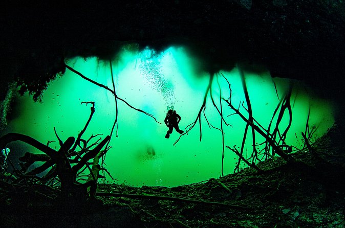 Private Scuba Diving in Cenote around Playa del Carmen - Value, group size, and what is included