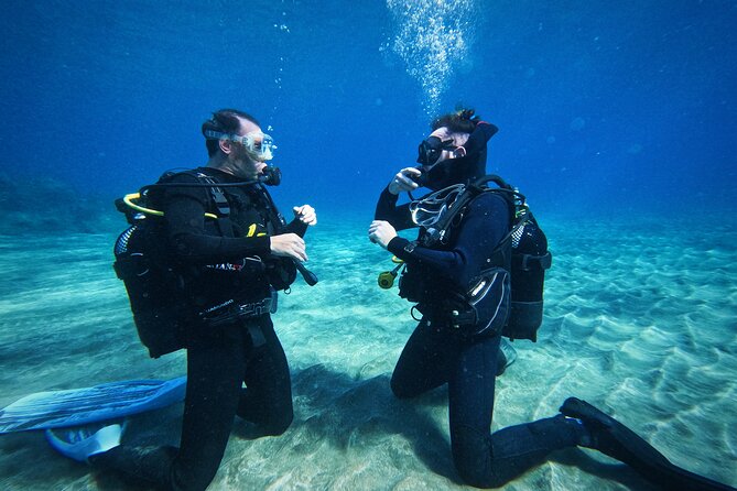 Private Scuba Diving in Tenerife – Certified Instructor & Photos - The briefing with Joanna, José, Guillaume, or Julien