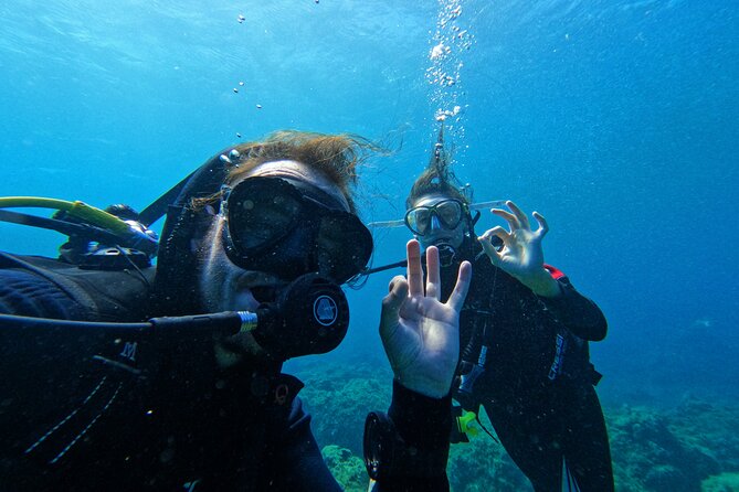 Private Scuba Diving in Tenerife – Certified Instructor & Photos - Thirty minutes among fish, rays, and volcanic seabed life