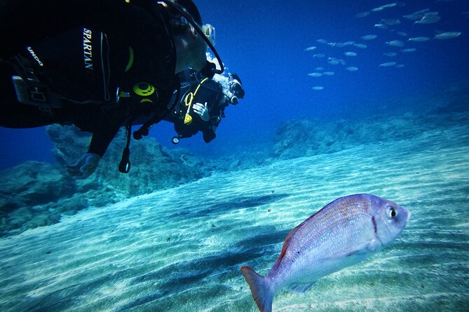 Private Scuba Diving in Tenerife – Certified Instructor & Photos - Photos and videos without the usual underwater fuss