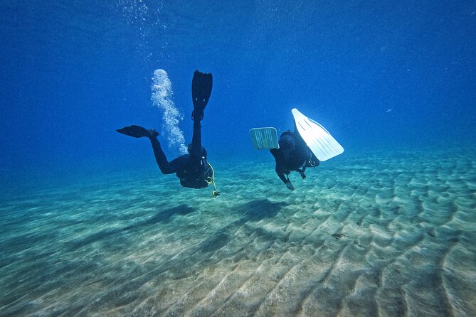 Private Scuba Diving in Tenerife – Certified Instructor & Photos - What the $114.89 price really covers