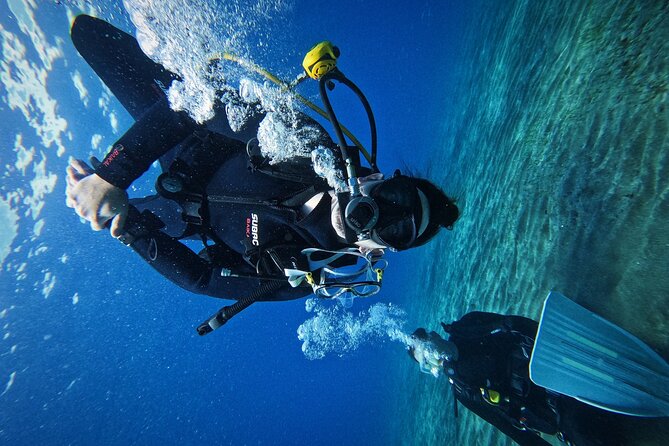 Private Scuba Diving in Tenerife – Certified Instructor & Photos - The people who will enjoy this most