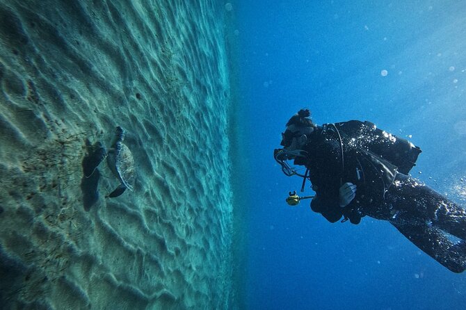 Private Scuba Diving in Tenerife – Certified Instructor & Photos - Los Cristianos shore entry and the first few minutes