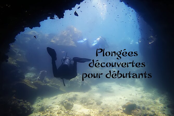 Private Scuba Diving Initiation with Licensed Guide - What the $56.56 price really covers