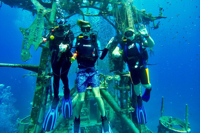 Private Scuba Diving Tour with Transportation and Guide - Why the private format matters underwater