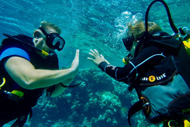 Private Scuba Diving Tour with Transportation and Guide - Red Sea sea life and Navy shipwrecks