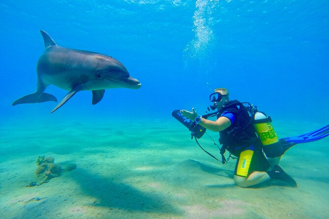 Private Scuba Diving Tour with Transportation and Guide - Equipment, transport, and what the price covers