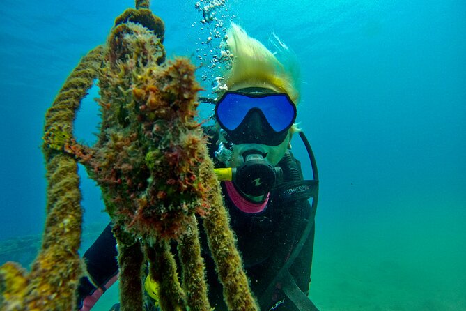Private Scuba Diving Tour with Transportation and Guide - Who will get the most from this outing