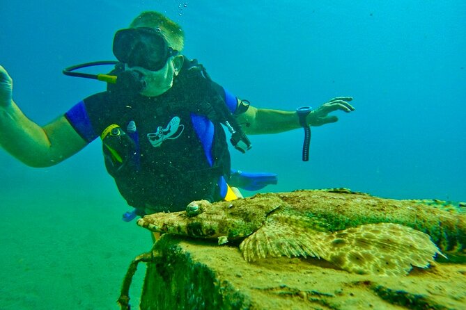Private Scuba Diving Tour with Transportation and Guide - Timing, confirmation, and cancellation