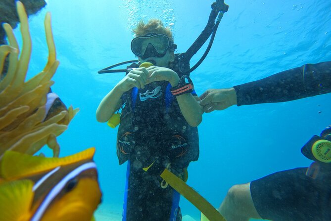 Private Scuba Diving Tour with Transportation and Guide - How this compares with arranging scuba on your own