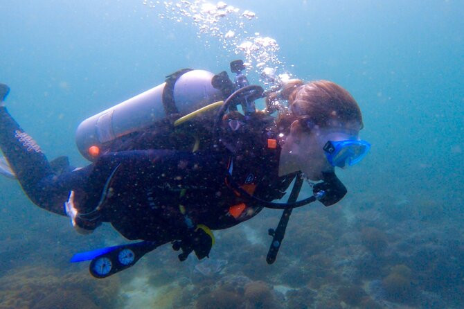 Private scuba diving trips Muscat - Two sites, two chances to get underwater