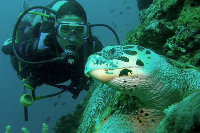 Private scuba diving trips Muscat - What the PADI professional adds