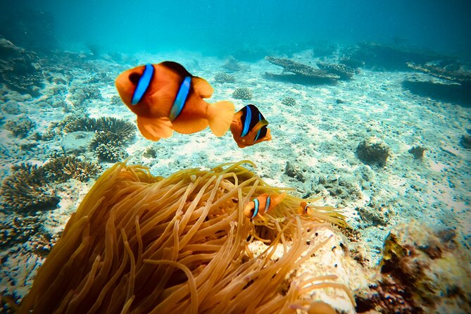 Private scuba diving trips Muscat - The boat ride back along the Muscat coast