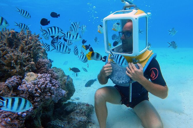 Private Tour: Aqua Safari Scuba Diving - At a glance