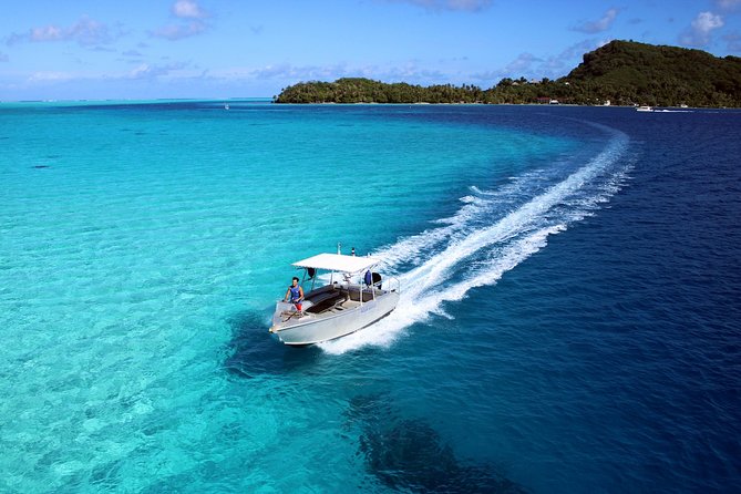 Private Tour: Aqua Safari Scuba Diving - The coral garden and marine life