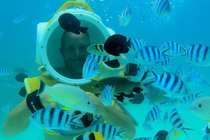Private Tour: Aqua Safari Scuba Diving - What to bring and what is provided