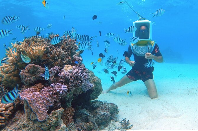 Private Tour: Aqua Safari Scuba Diving - Is $765.22 good value for two?