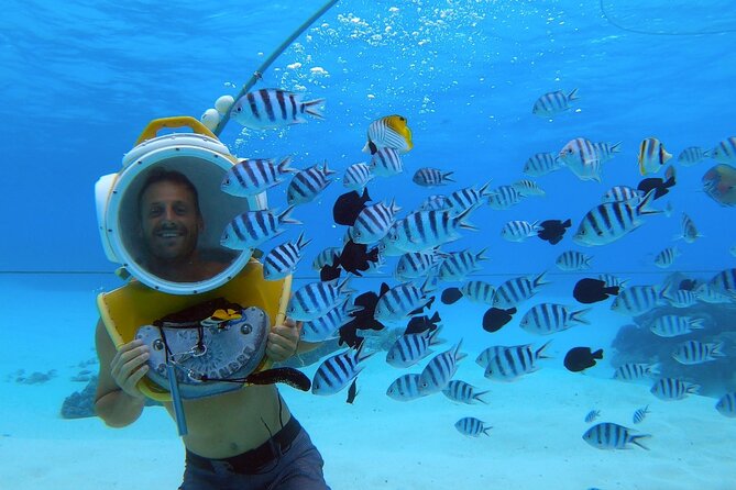 Private Tour: Aqua Safari Scuba Diving - Weather, timing, and booking details