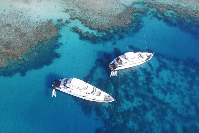 Professional 2 Stops Scuba Diving Full Day Boat Trip - Hurghada - Setting out from Hurghada at 8:30 a.m.