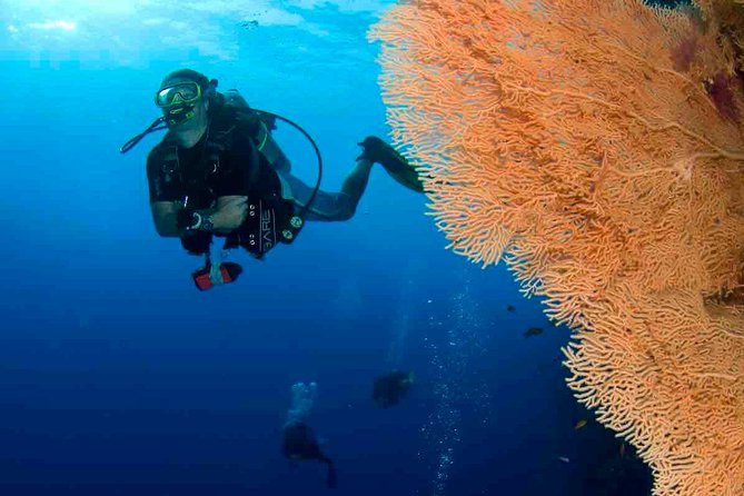 Professional 2 Stops Scuba Diving Full Day Boat Trip - Hurghada - What the $24 price really includes