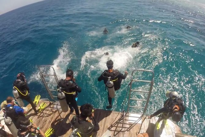 Professional 2 Stops Scuba Diving Full Day Boat Trip - Hurghada - Lunch, coffee, and a one to two-hour break