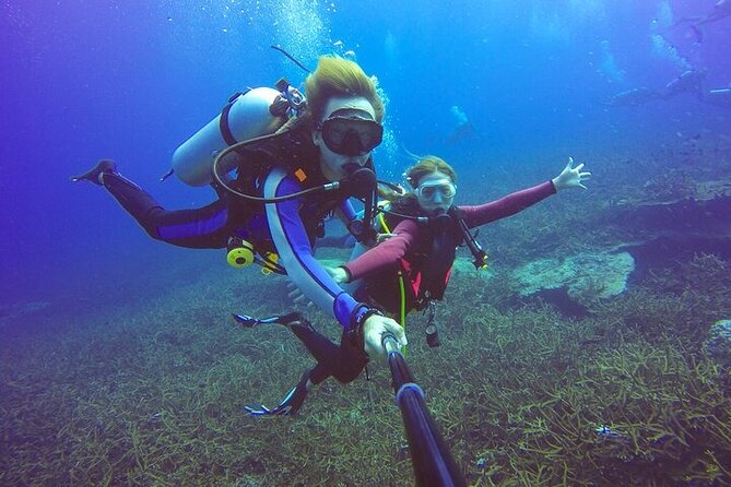 Professional Diver Two Stops Dives & Lunch, transfer–Hurghada - The second stop brings a better rhythm