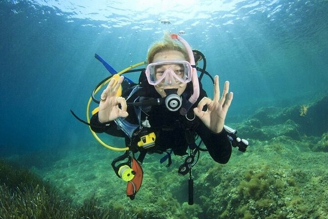 Professional Diver Two Stops Dives & Lunch, transfer–Hurghada - Lunch and the long middle of the day